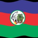 Ijaw National Congress alleges extrajudicial killings by Nigerian army