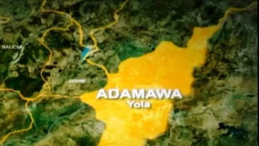 Group raises the alarm over influx of herders in Adamawa