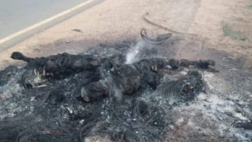 Mob burns two suspected motorcycle thieves to death in Makurdi