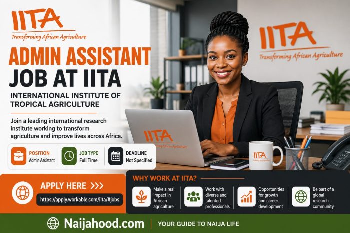 Admin Assistant Job At IITA